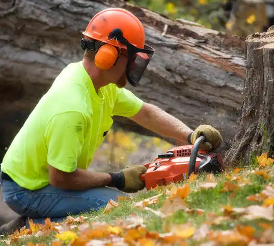 tree services Whiteman AFB